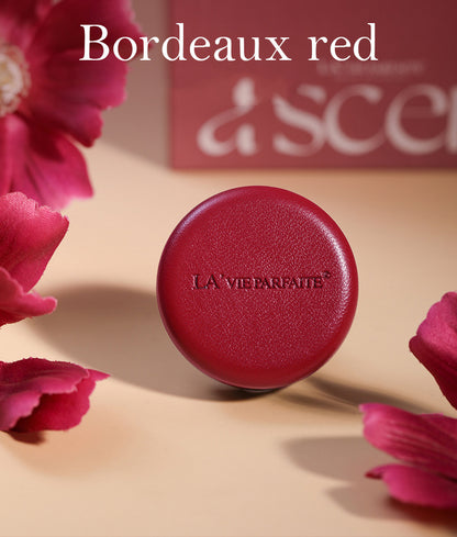 Car Aromatherapy Air Outlet Diffuser