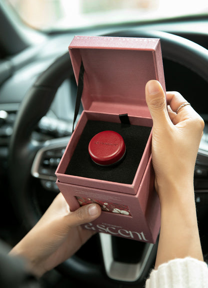 Car Aromatherapy Air Outlet Diffuser