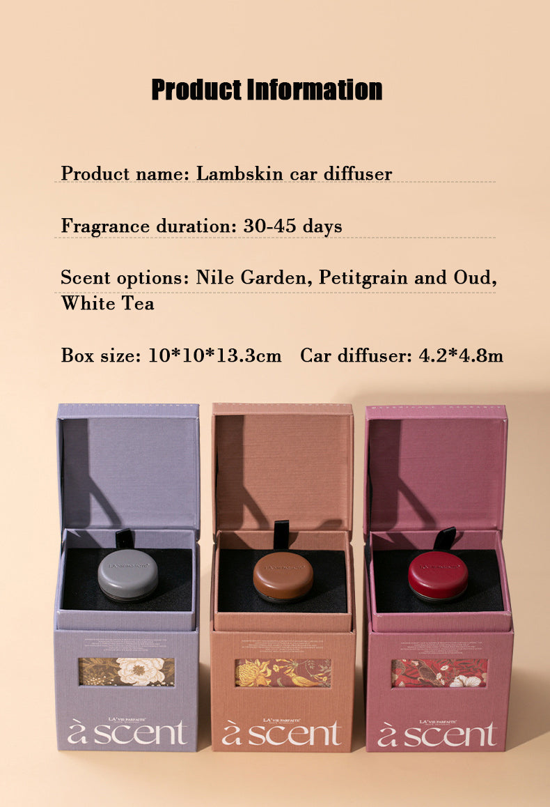 Car Aromatherapy Air Outlet Diffuser